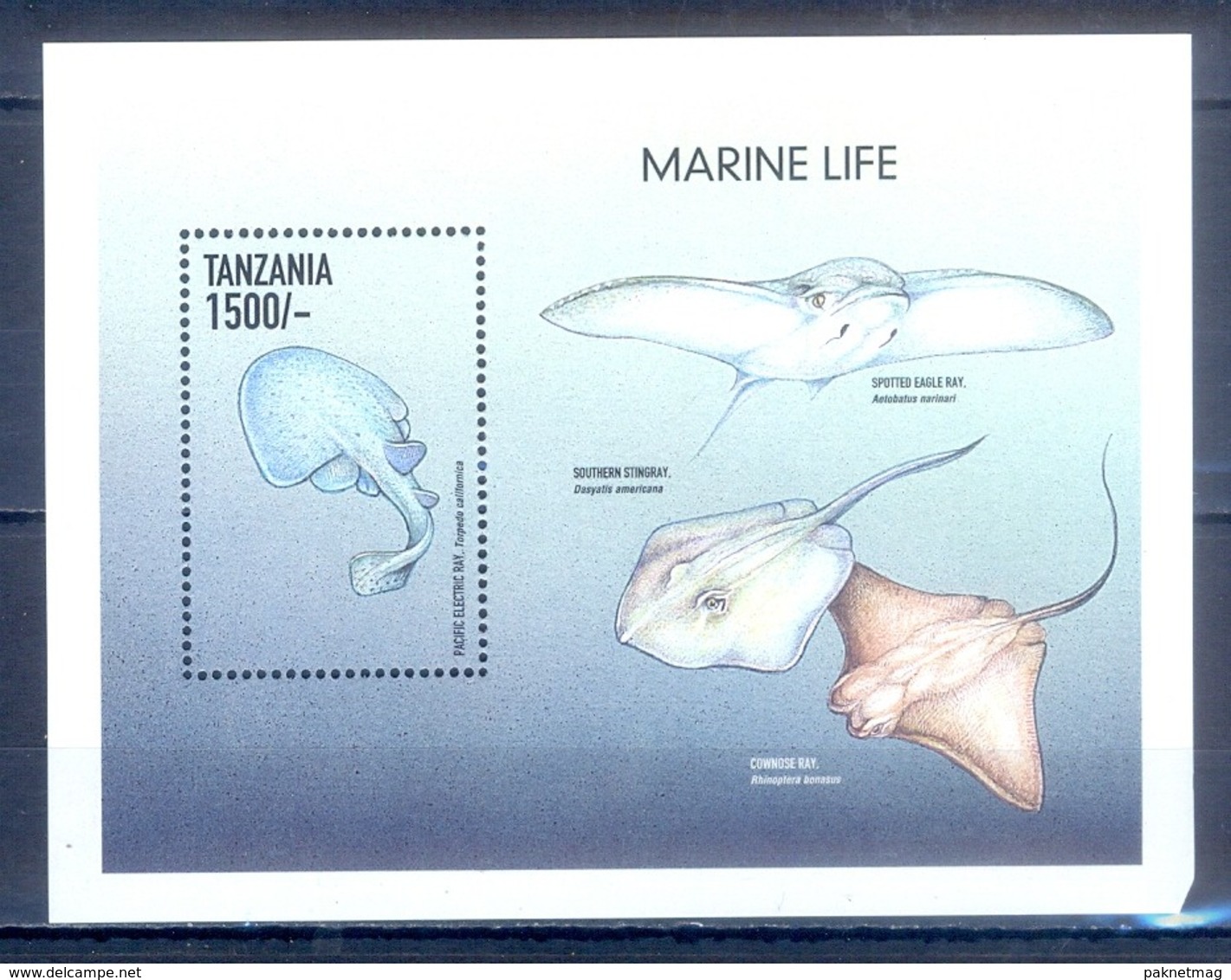 C120- Tanzania 1999 Marine Mammals Fish. - Fishes