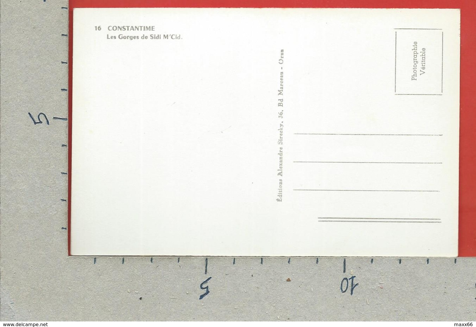 CARTOLINA NV ALGERIA - CONSTANTIME CONSTANTINE - Les Gorges De Sidi M'Cid - 9 X 14 - Constantine