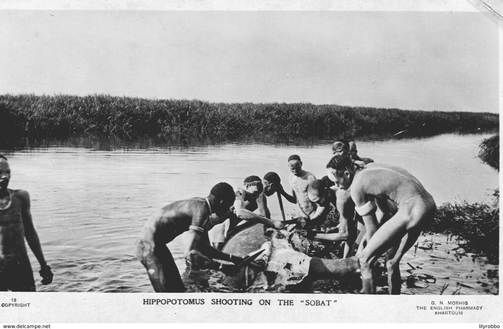 SUDAN _ Hippopotomus Shooting On The "Sobat" - RPPC - Excellent Ethnic View Etc - Sudan