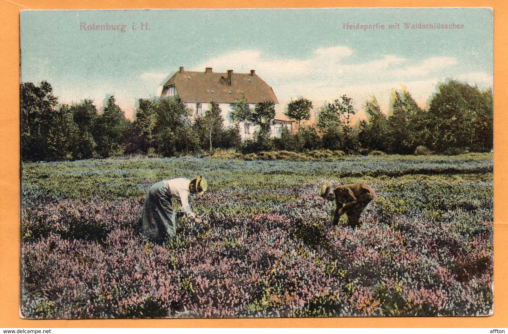 Rotenburg I Hann Germany 1908 Postcard Mailed - Rotenburg (Wuemme)