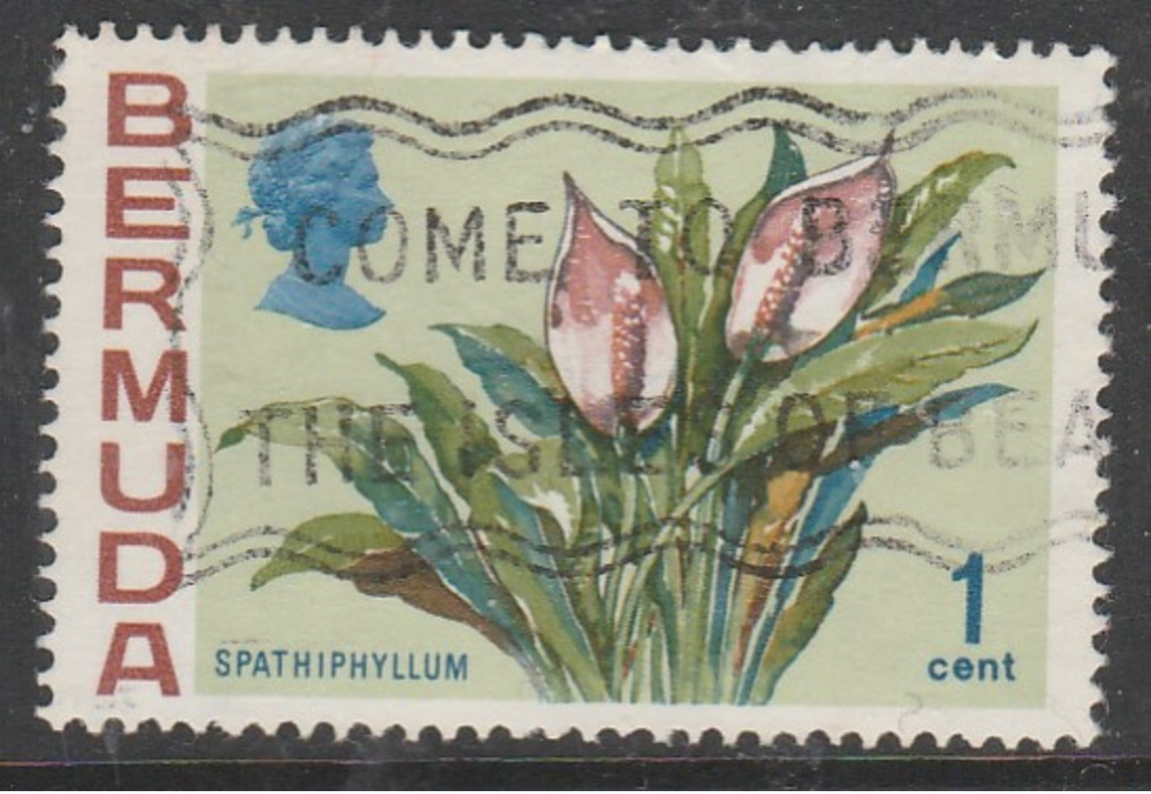 Bermuda 1970 Flowers 1 C Multicoloured  SW 247 O Used - Bermuda