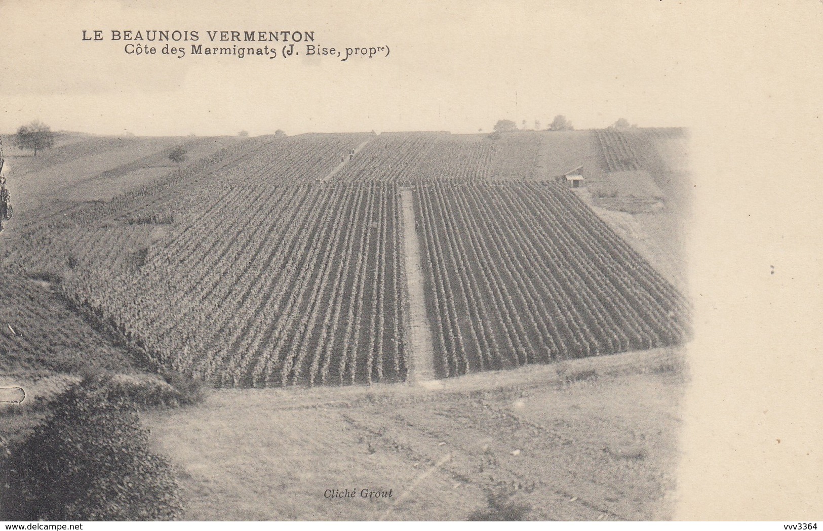 VERMENTON: Le Beaunois Vermenton - Côte Des Marmignats (J. Bise, Prop.) - Vermenton