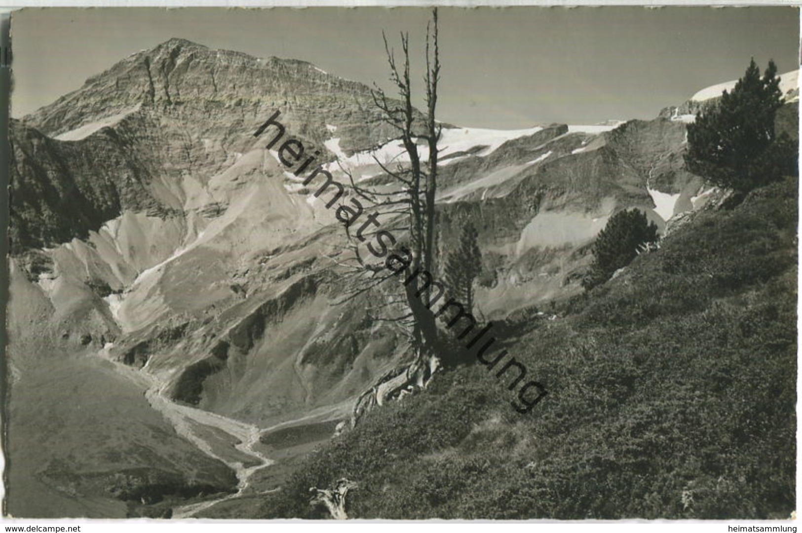 Trinserhorn - Piz Dolf - Sardonagegebirge - Foto-Ansichtskarte - Verlag Foto-Fetzer Bad Ragaz - Trin