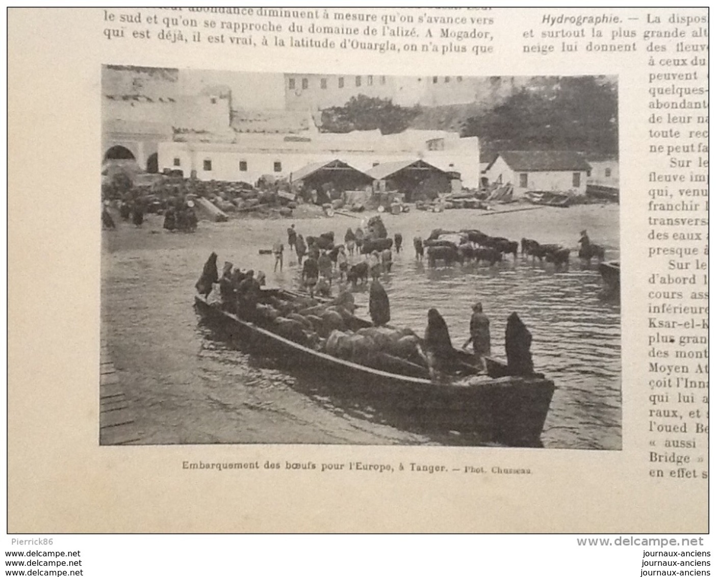 1905  LE MAROC TANGER AL CAZAR TÉTUAN - REVUE SOCIALISTE - LA CULTURE DES CHAMPIGNONS DE PARIS