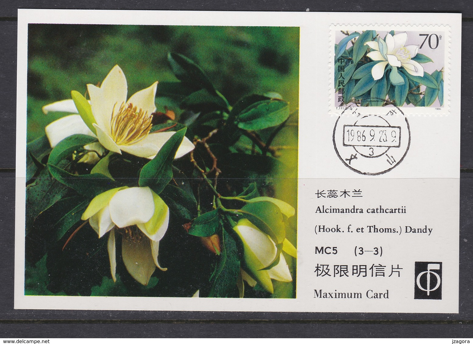 MAGNOLIA   MAGNOLIE Flower Blume Fleur Alcimandra Cathcarti - CHINA CHINE 1988 Mi 2086 Maximum Card - Sonstige & Ohne Zuordnung