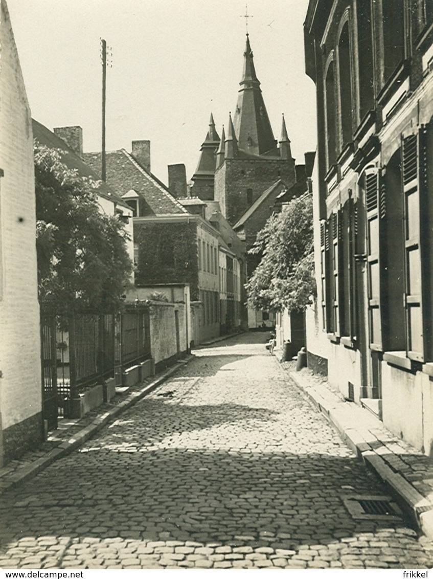 Photo Foto Soignies Collégiale St - Vinçent (8 X 11 Cm ) - Soignies