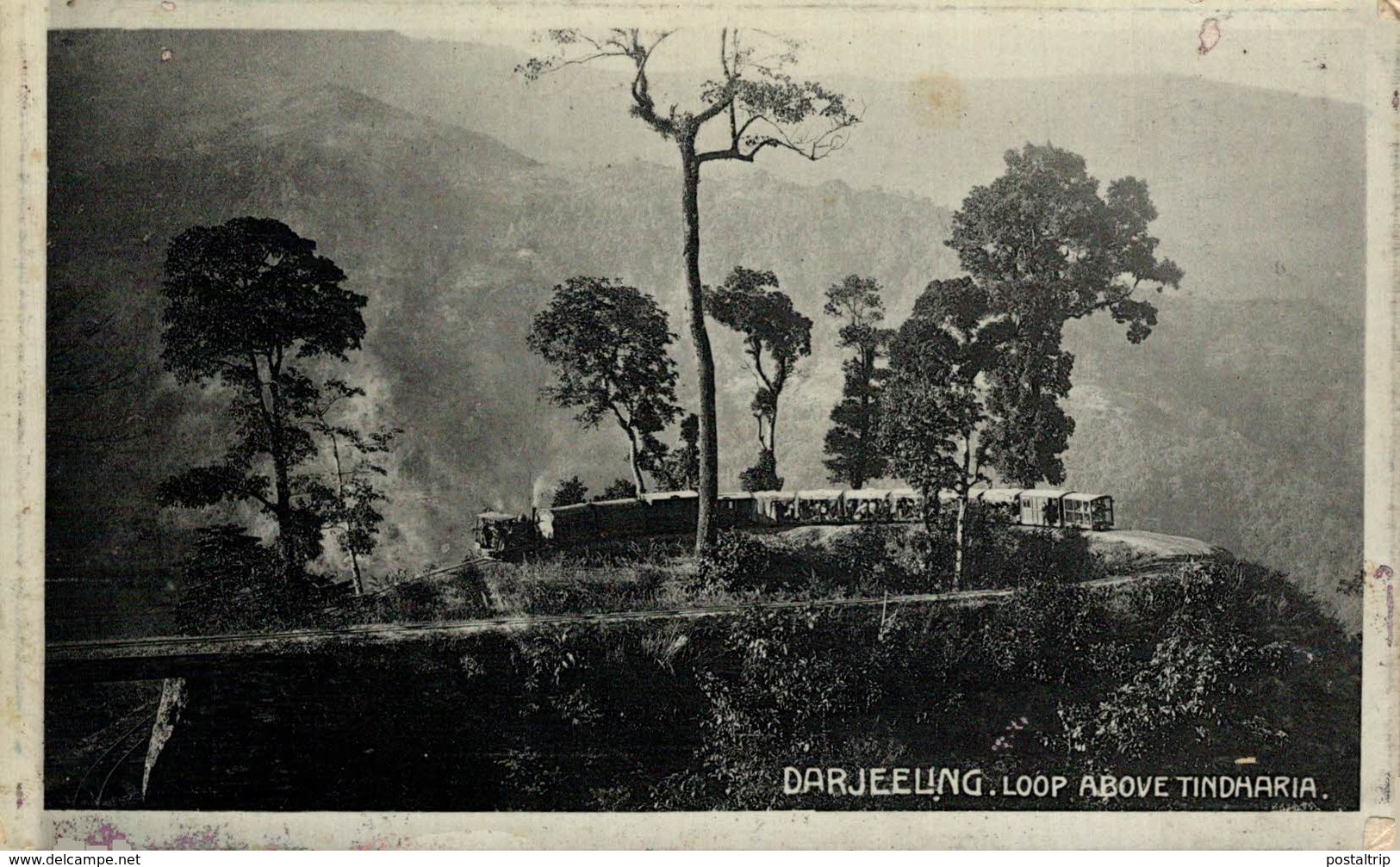 INDIA // INDE. Darjeeling - Loop Above Tindharia - India