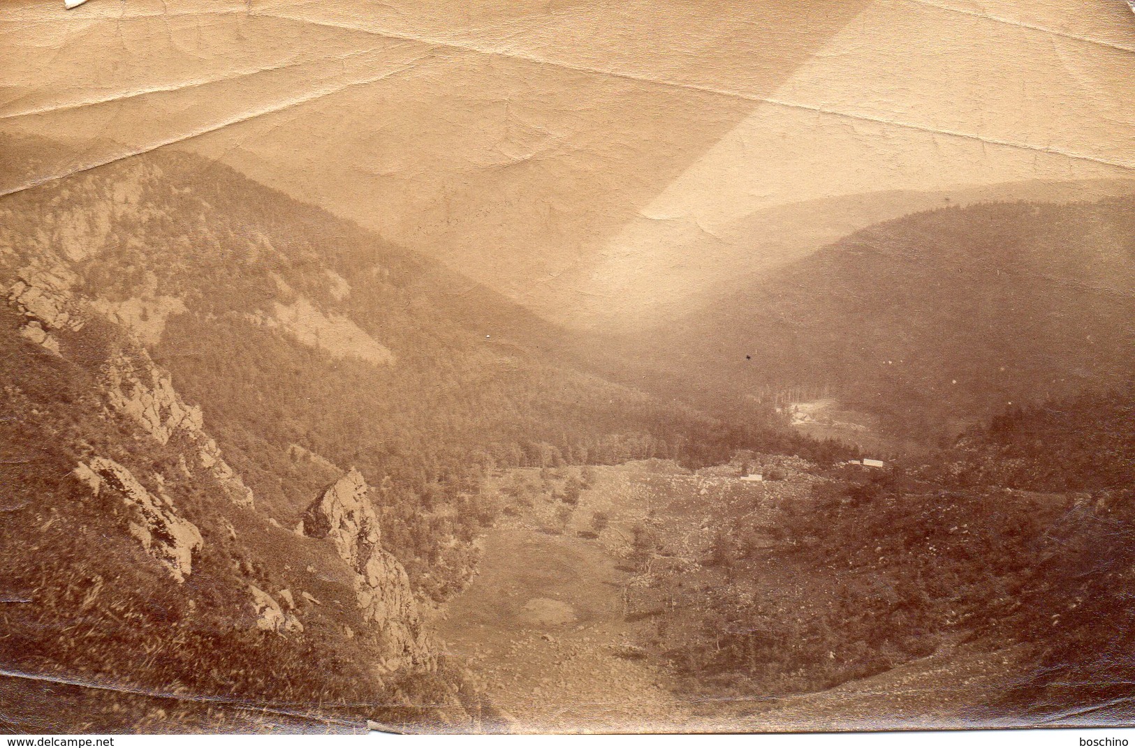 Photo Ancienne (sans Carton) - Vue De La Vallée De Munster (dim 15,5 X10 Cm) - Old (before 1900)