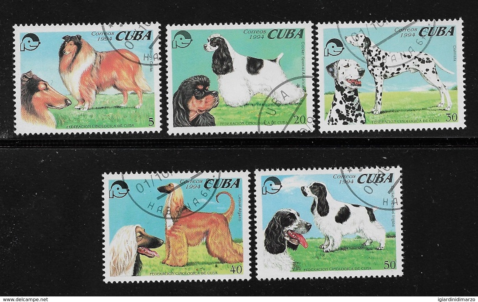 CUBA - 1994 - 5 VALORI OBLITERATI DEDICATI ALLA FEDERAZIONE CANINA DI CUBA - CANI DIVERSI - IN OTTIME CONDIZIONI. - Cani