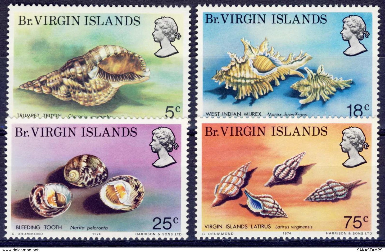 1974-(MNH=**) British Virgin Islands S.4v."Sea Shells" - British Virgin Islands