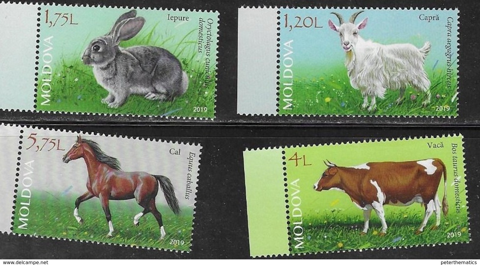 MOLDOVA , 2019, MNH, FARM ANIMALS, HORSES, RABBITS, COWS, GOATS, 4v - Chevaux