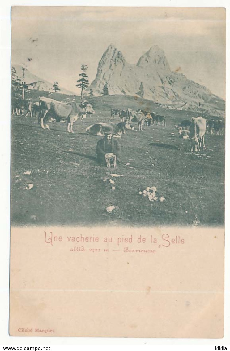 CPA 9 X 14 Hautes Alpes Une Vacherie Au Pied De La Selle Alt. 2722m Bramousse  Alpage Berger Vache Carte Précurseur - Altri & Non Classificati