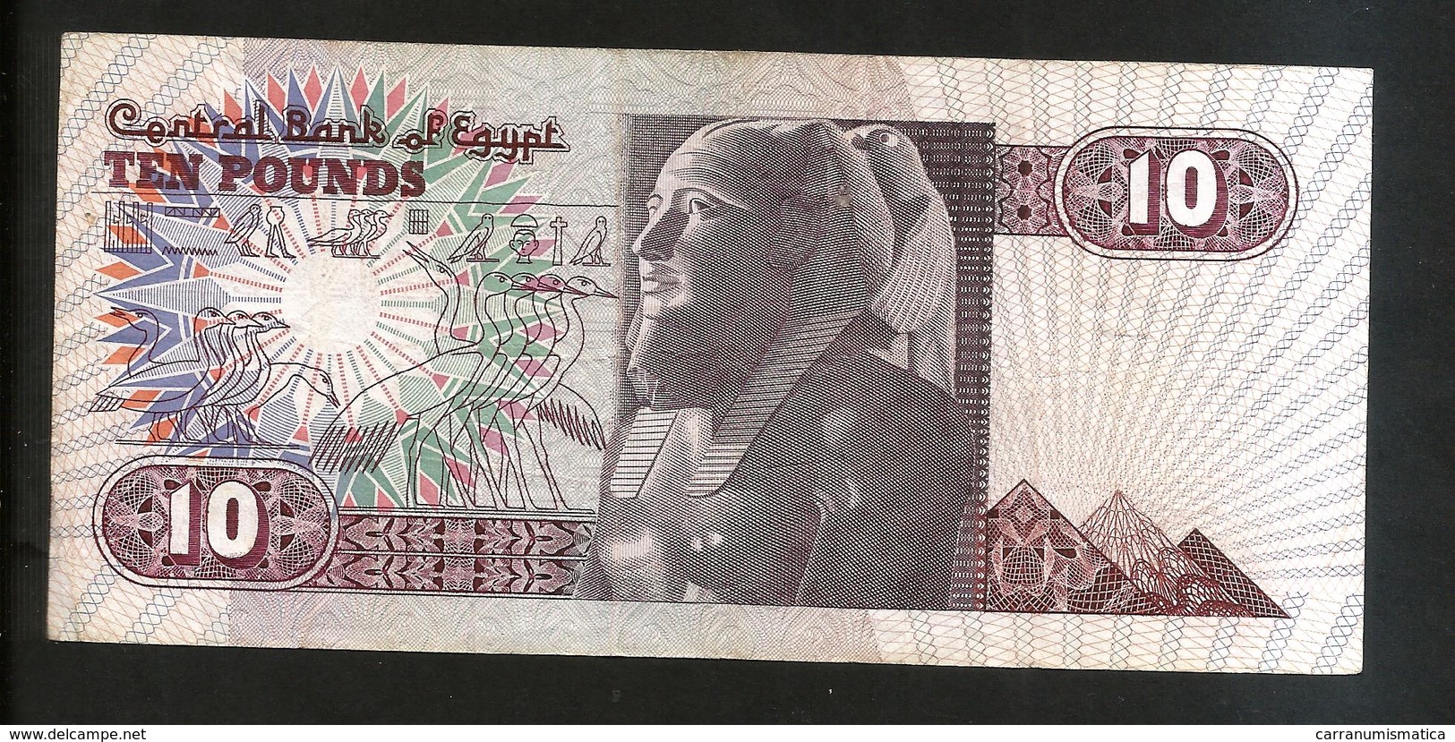 EGYPT - CENTRAL BANK Of EGYPT - 10 POUNDS ( 1996 ) - Egitto