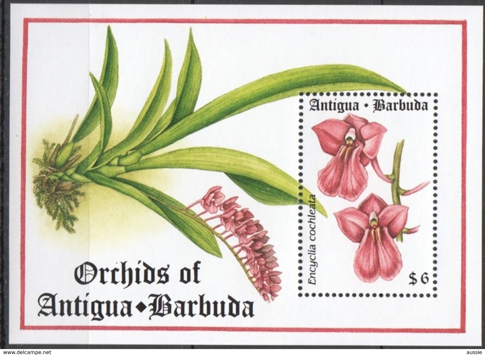 Antigua Et Barbuda 1994 Yvertnr. Bloc 286 *** MNH Cote 8 € Flore Orchidées Bloemen Flowers Fleurs - Antigua Y Barbuda (1981-...)