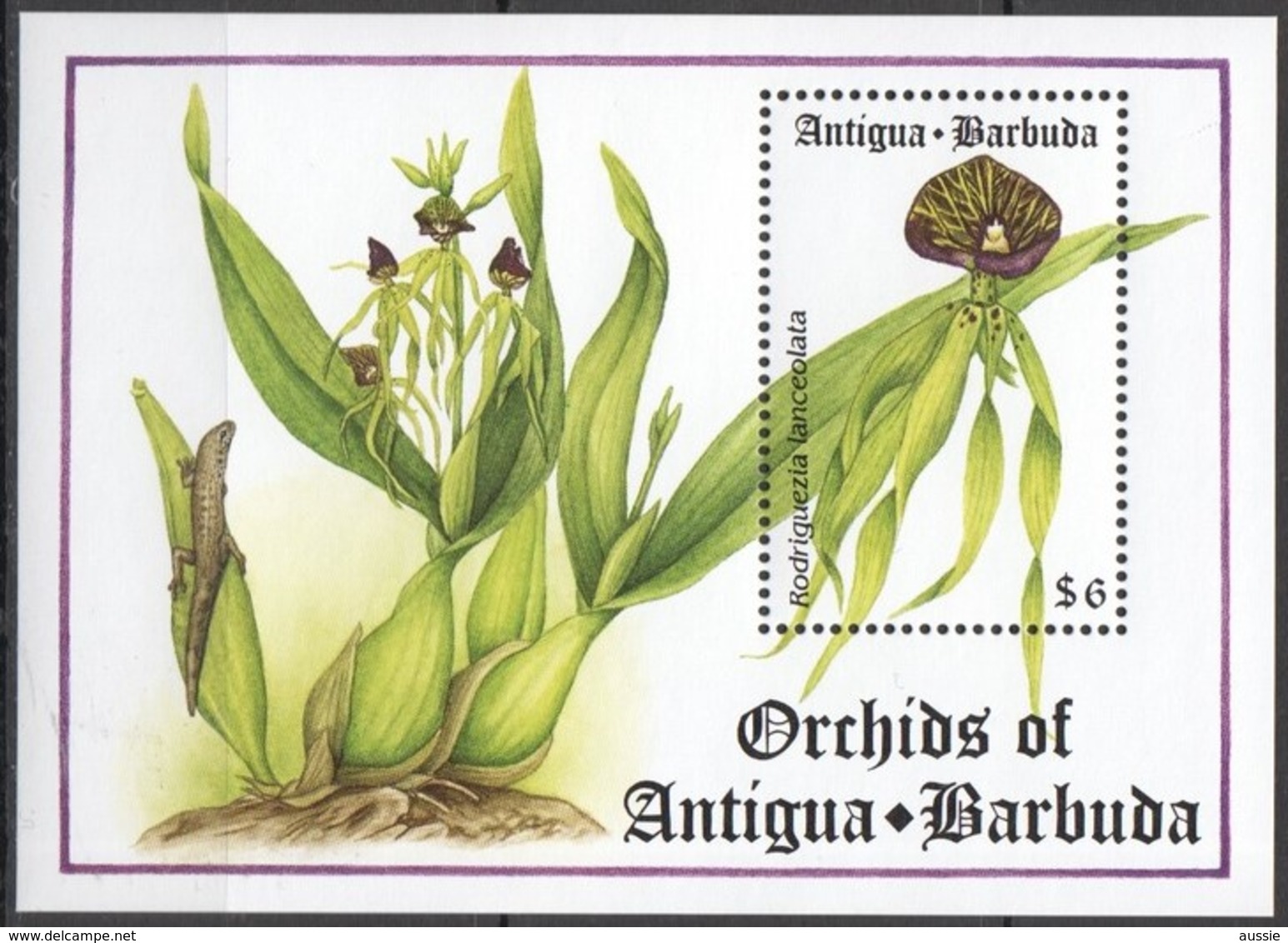 Antigua Et Barbuda 1994 Yvertnr. Bloc 288 *** MNH Cote 8 € Flore Orchidées Bloemen Flowers Fleurs - Antigua Et Barbuda (1981-...)