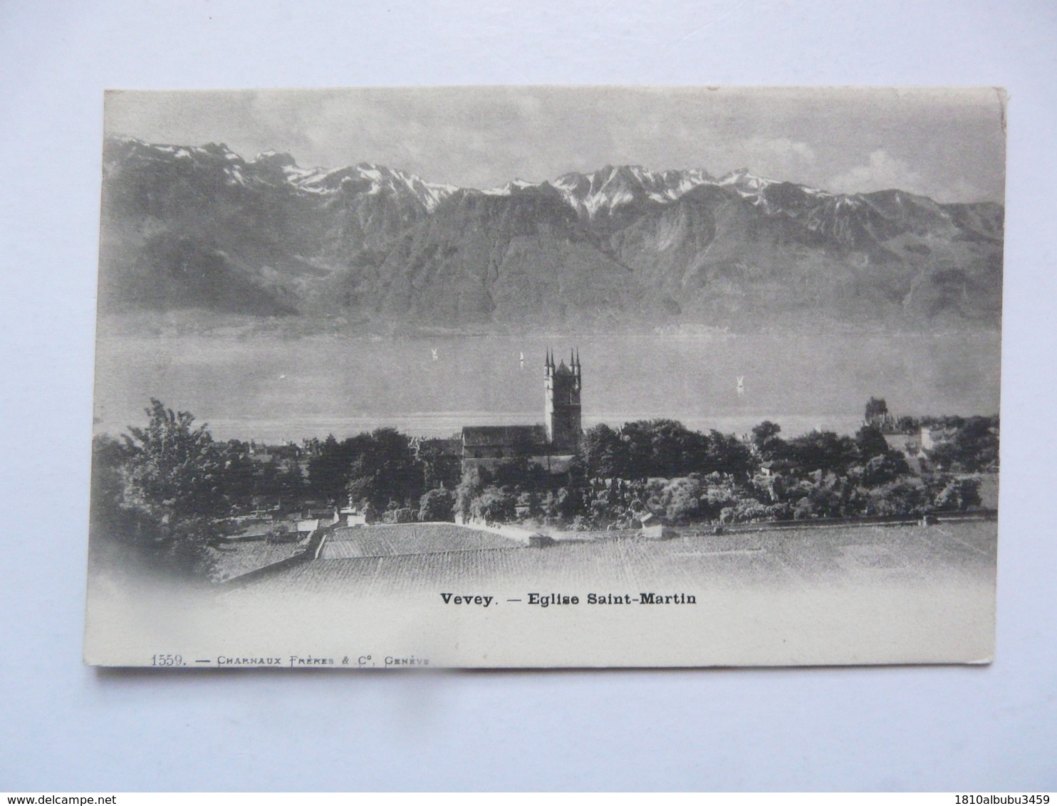 CPA SUISSE - VEVEY : Eglise Saint Martin - Saint-Martin