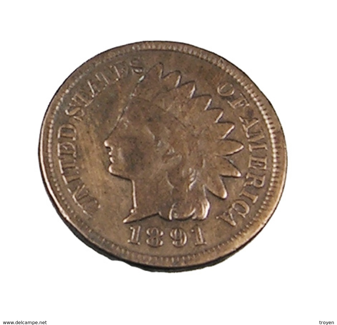 1 Cent - USA - Etats Unis - 1891 - Cuivre - TB + - 1859-1909: Indian Head