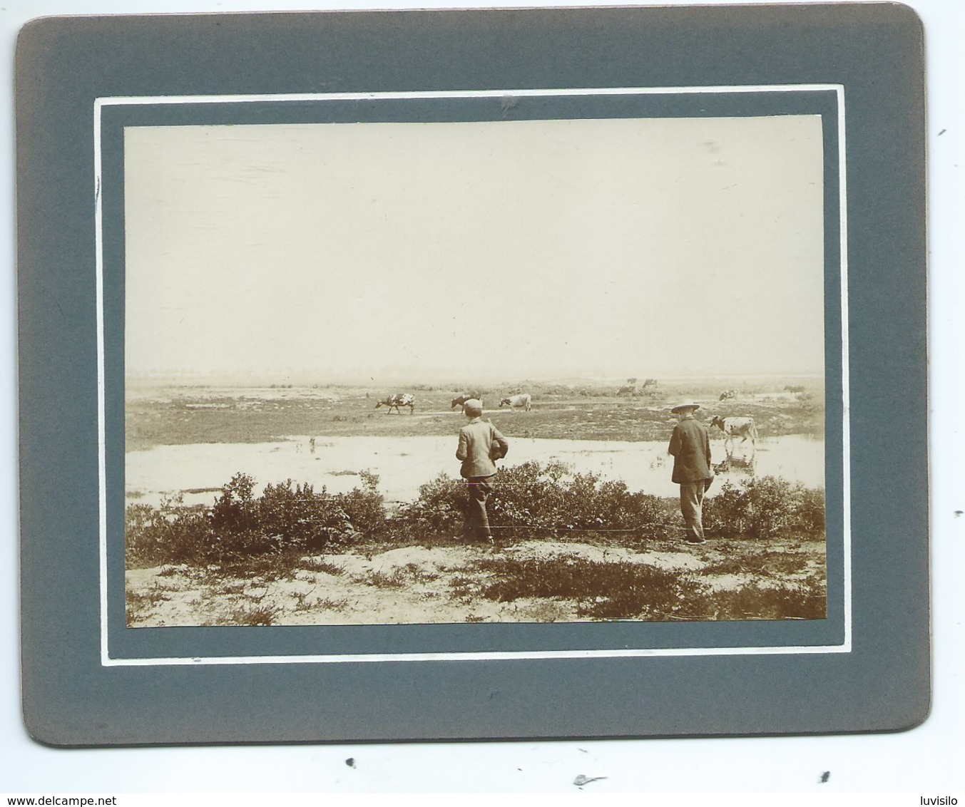 Genk Genck Staelen   Aux Grands Marais ( Foto 11 Cm / 8 Cm ) - Genk