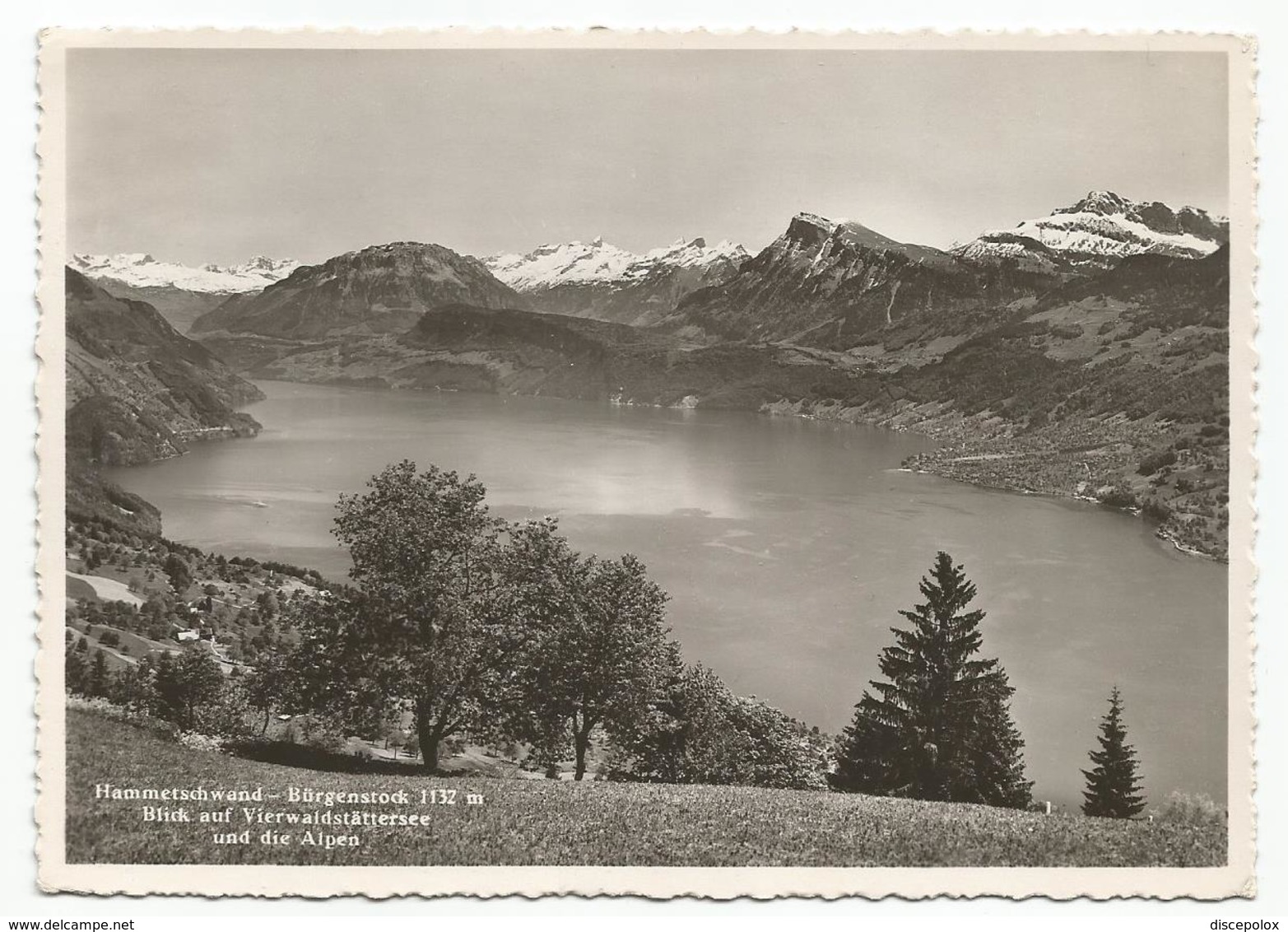 V3968 Hammetschwand Burgenstock - Blick Auf Vierwaldstattersee Und Die Alpen / Non Viaggiata - Sonstige & Ohne Zuordnung