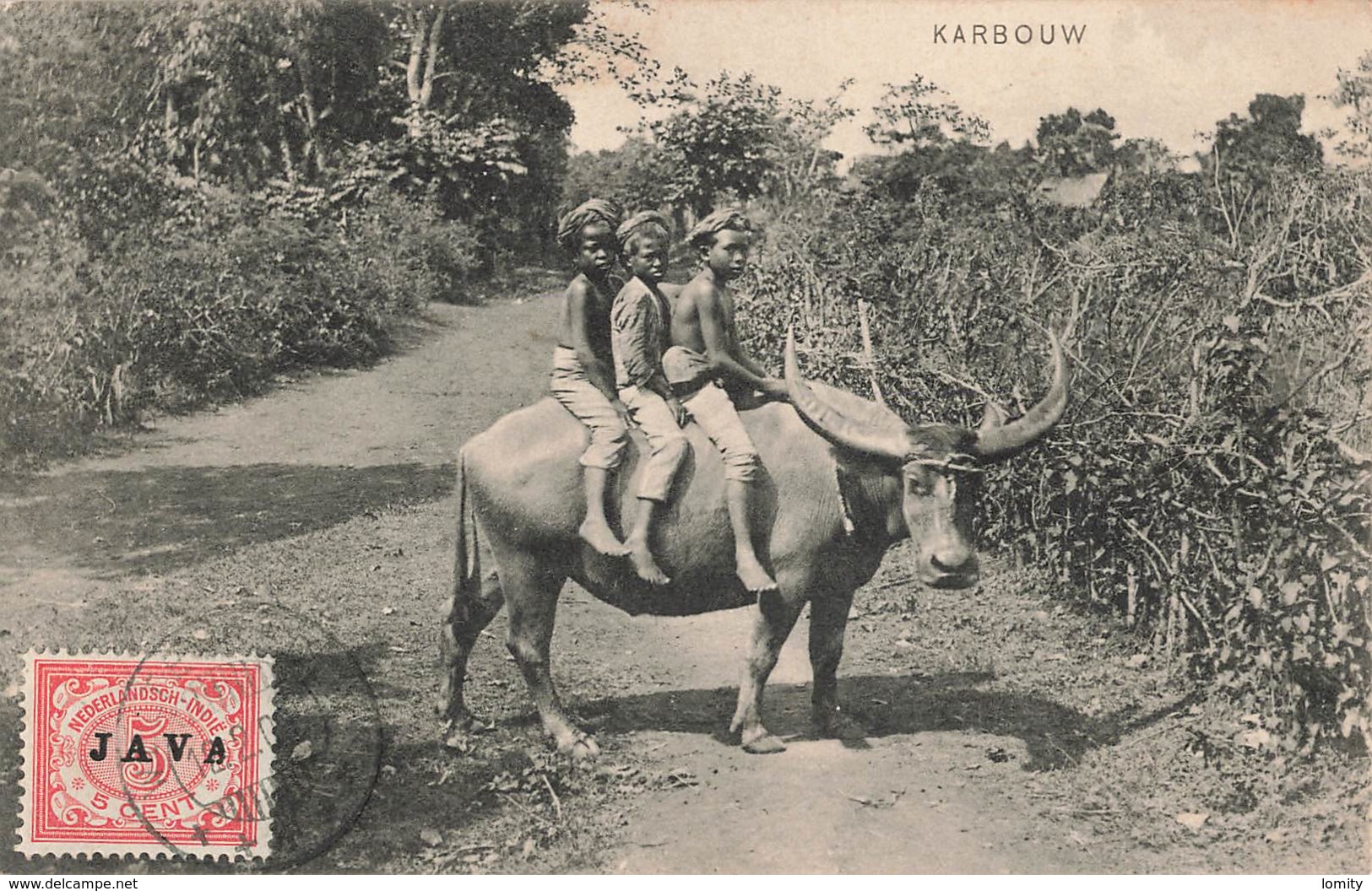 Indonesie Karbouw Buffle Avec Enfants Cpa Carte Voyagée + Timbre Surchargé Java 1909 Nederlandsch Indie Ned - Indonésie