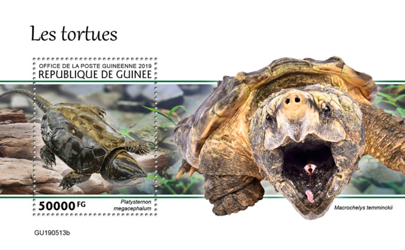 Guinee 2019 Turtles Fauna Turtle S/S GU190513 - Autres & Non Classés