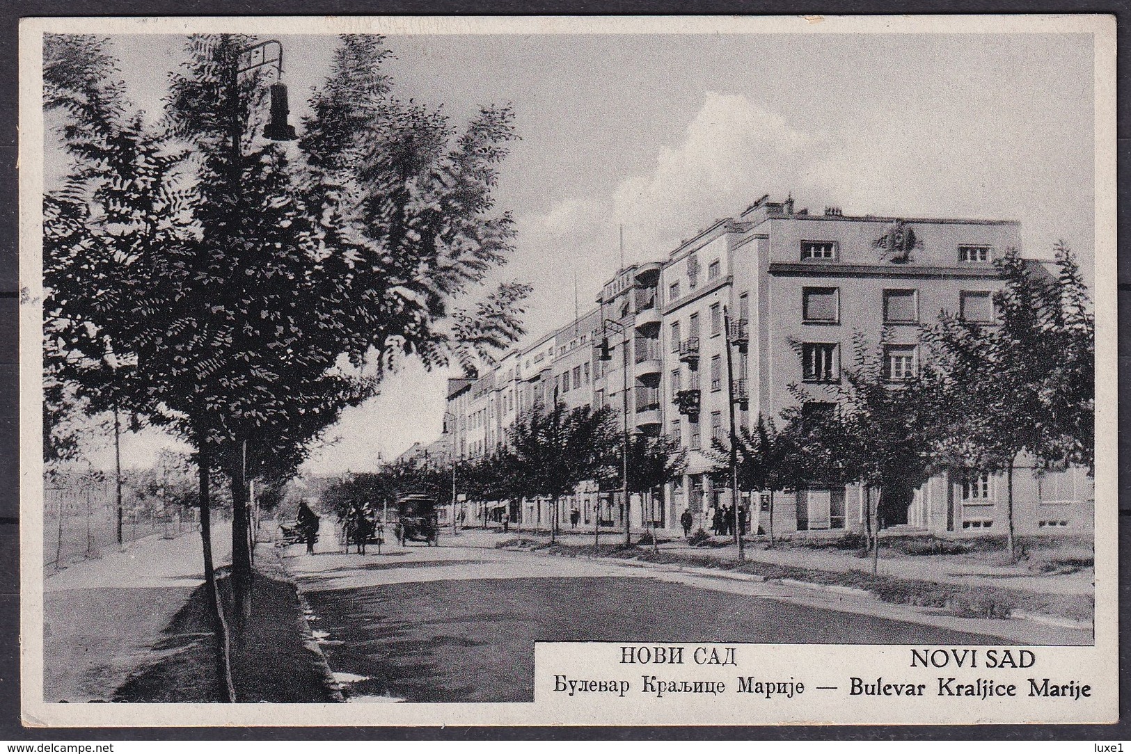 SERBIA , NOVI SAD  , OLD POSTCARD - Serbie