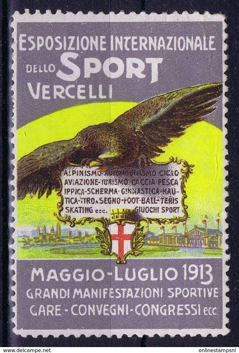 Italy  Esposizone Internazionale Delo Sport Vercelli  1913 - Poste Aérienne