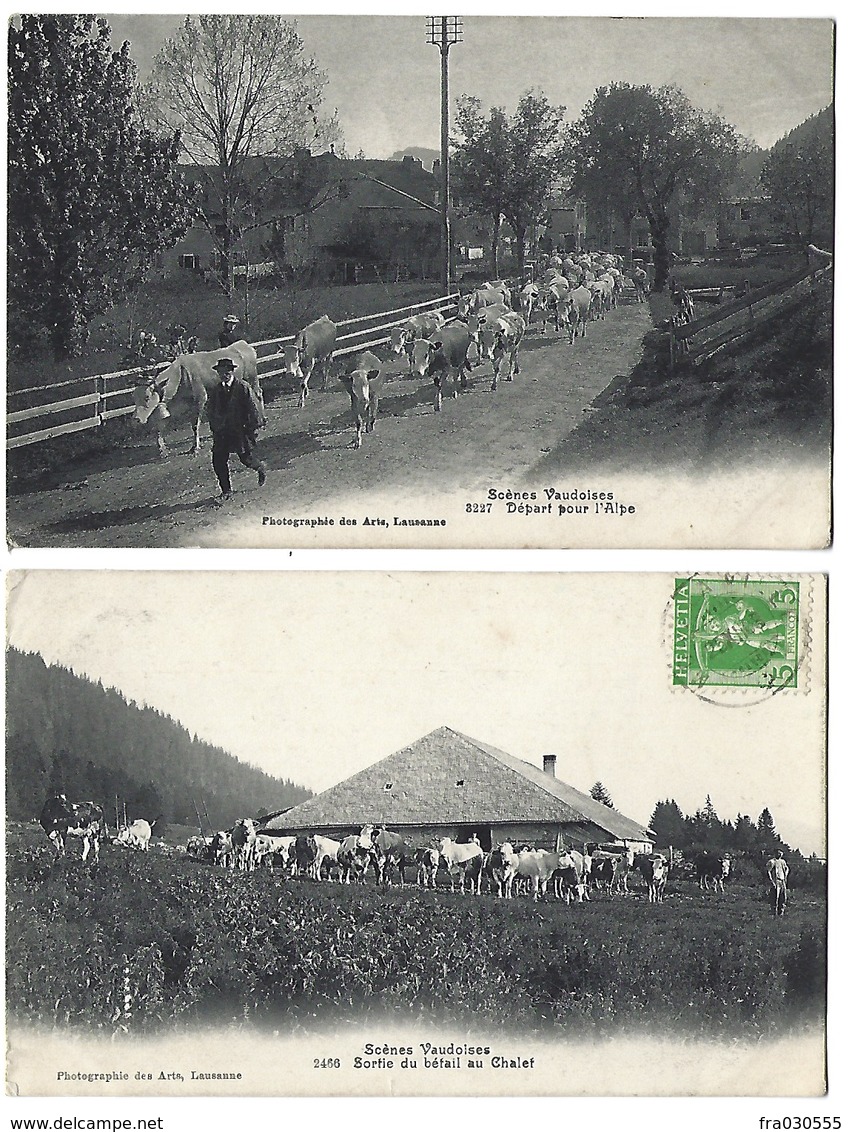 SUISSE - Scènes Vaudoises - Lot De 2 CPA - 1908 à 1909 - Autres & Non Classés