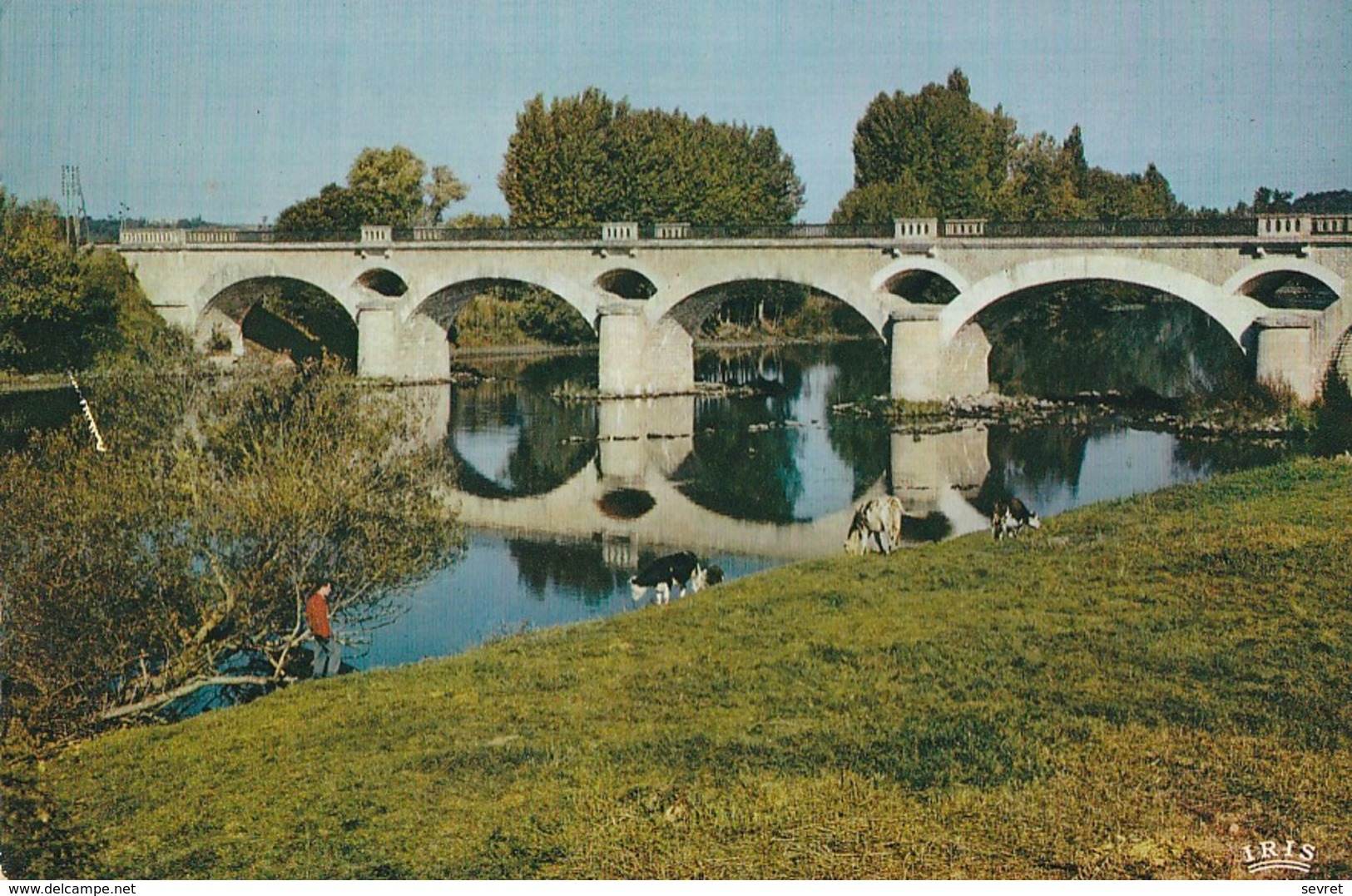 LUSSAC-LES-CHÂTEAUX. - Le Pont Sur La Vienne. CPM Dentelée - Lussac Les Chateaux