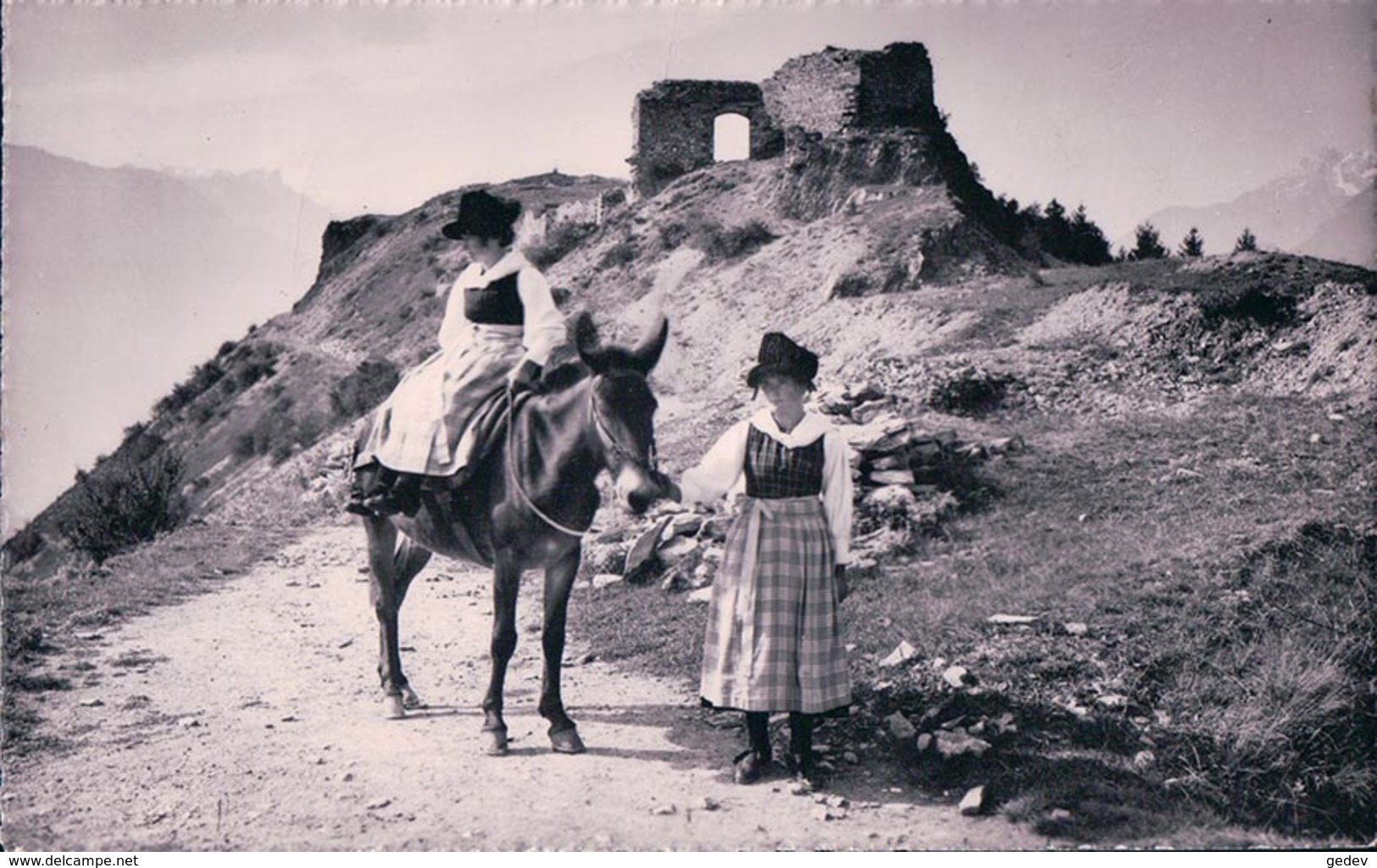 Château De La Soie, Savièse VS, Savièsanne à Dos De Mulet (33) - Savièse