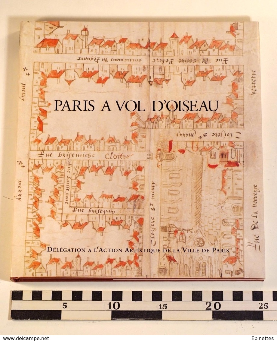 PARIS A VOL D'OISEAU, Action Artistique Ville De Paris, 1995, Michel Le Moël - Histoire