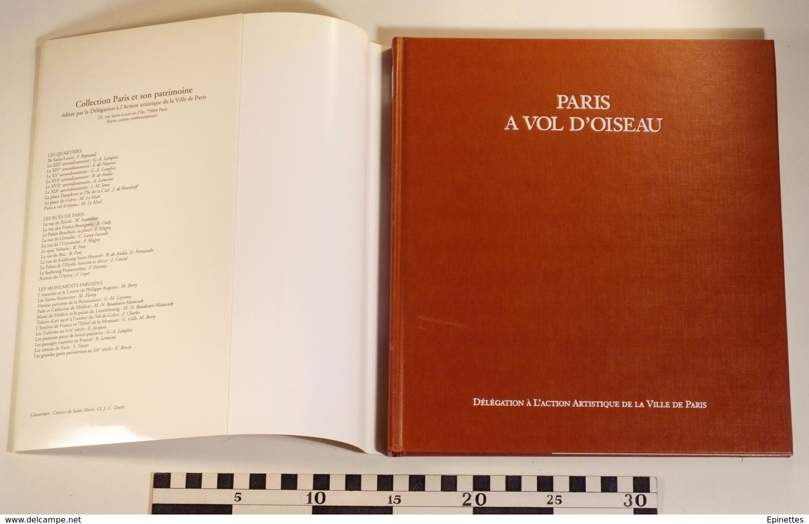 PARIS A VOL D'OISEAU, Action Artistique Ville De Paris, 1995, Michel Le Moël - Histoire