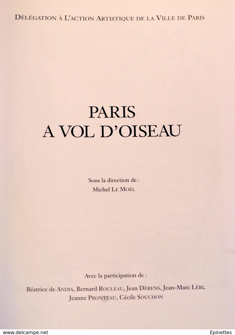 PARIS A VOL D'OISEAU, Action Artistique Ville De Paris, 1995, Michel Le Moël - Histoire