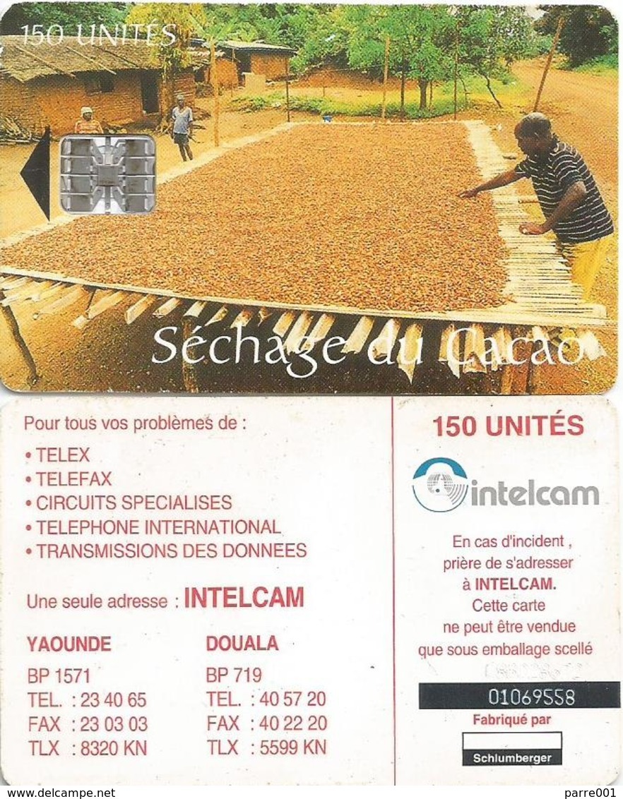 Cameroon Cameroun 150 UT CAM-38 INTELCAM Sechage Cacao Cocoa Drying Schlumberger Phonecard Telecard - Cameroun