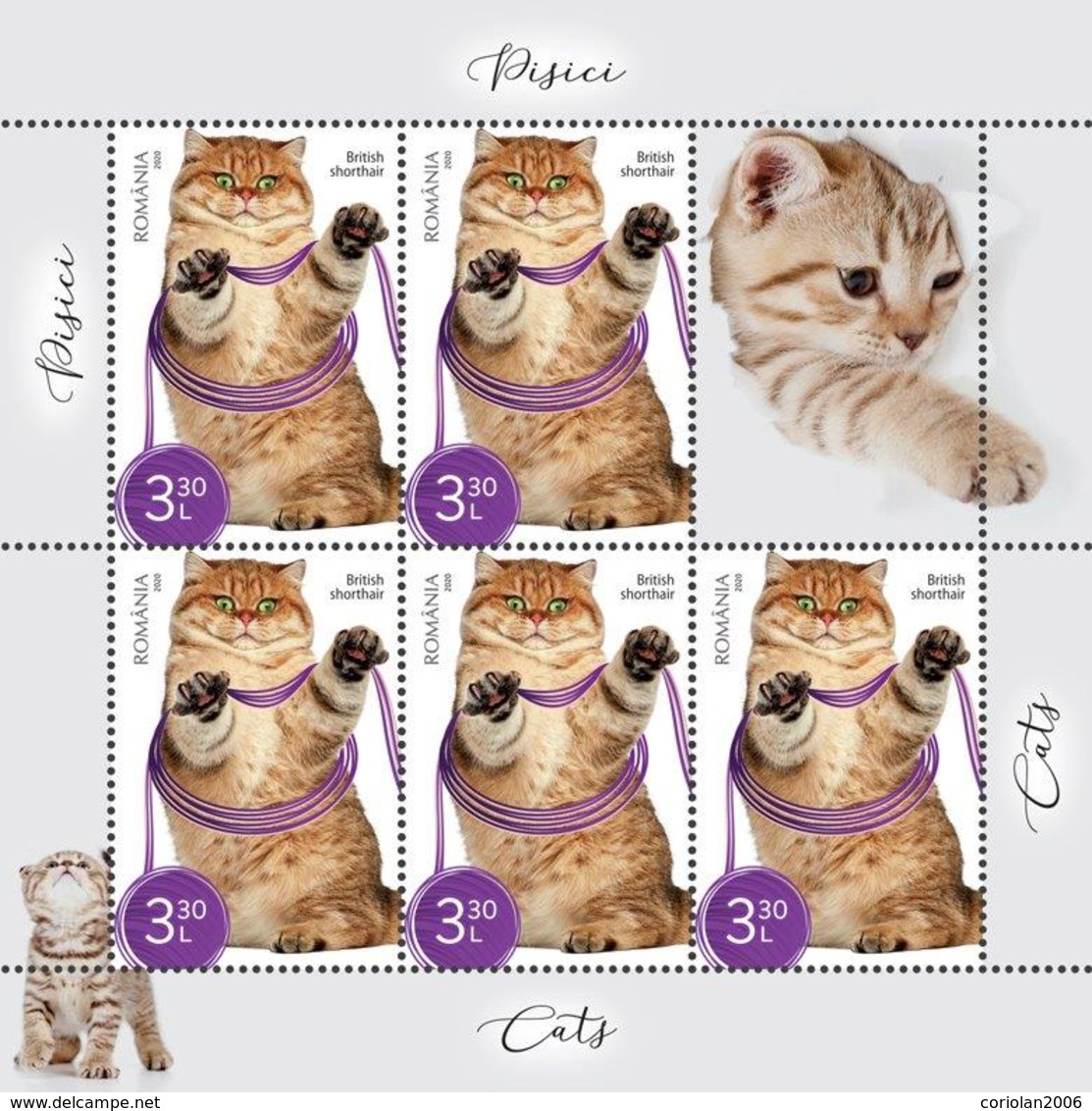 Romania 2020 / Cats / Set 6 MS With Labels - Nuovi