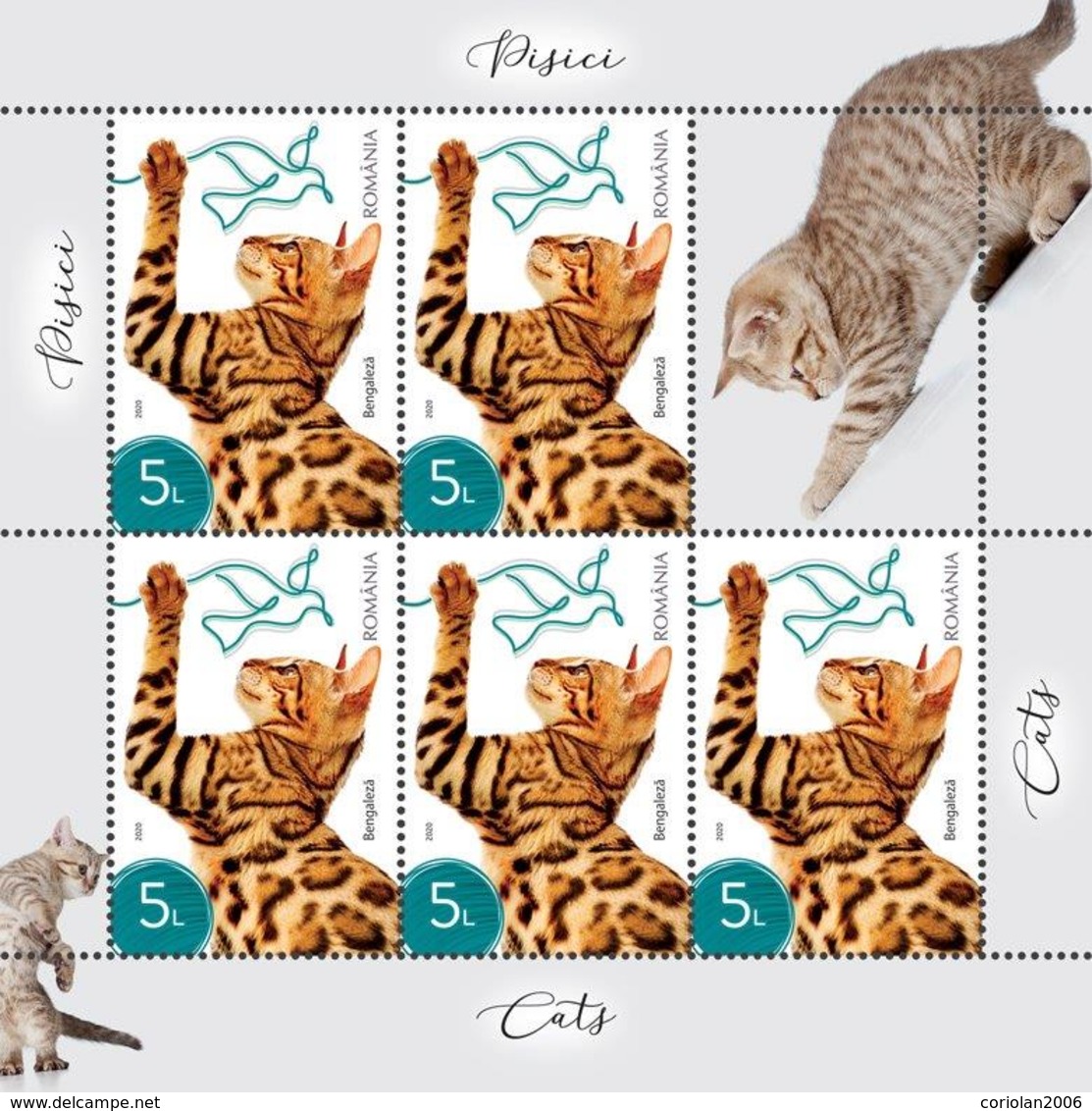 Romania 2020 / Cats / Set 6 MS With Labels - Nuovi