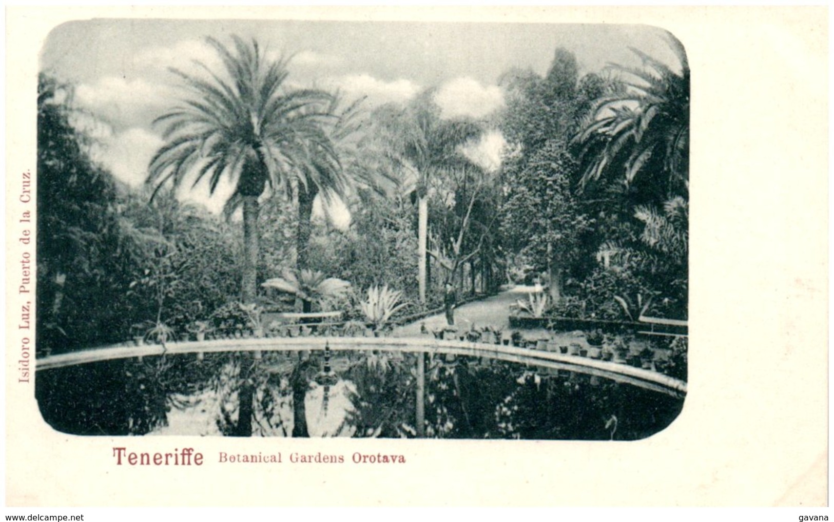 TENERIFFE - Botanical Gardens Orotava - Tenerife