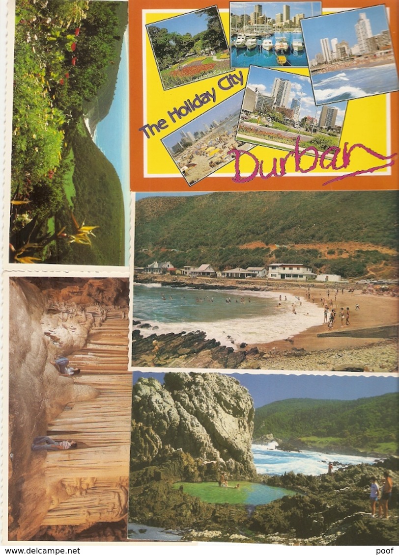 Zuid - Africa / South - Africa : ---- 50 Cards - Afrique Du Sud