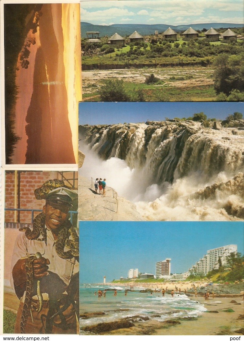 Zuid - Africa / South - Africa : ---- 50 cards