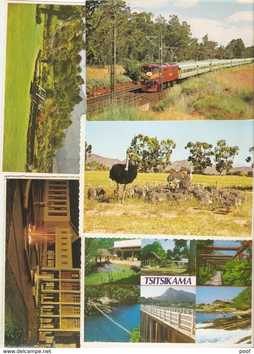 Zuid - Africa / South - Africa : ---- 50 cards