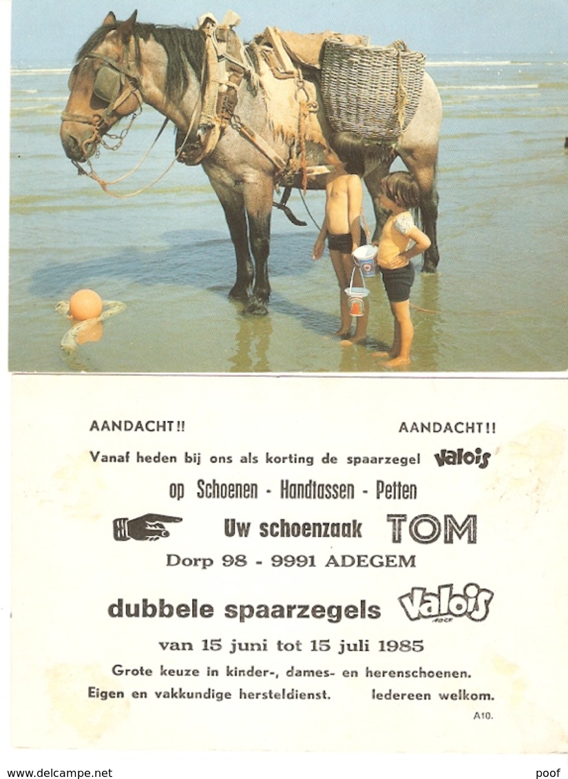 Adegem : Reclamekaart Schoenzaak Tom 1985 --- 2 Kaarten - Maldegem