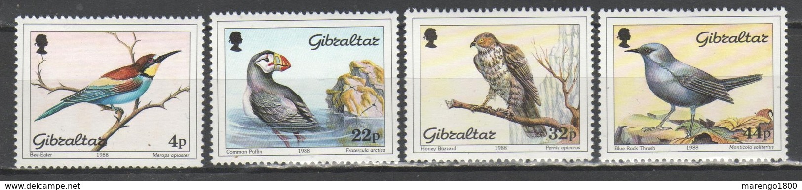 Gibilterra 1988 - Uccelli            (g6373) - Gibilterra