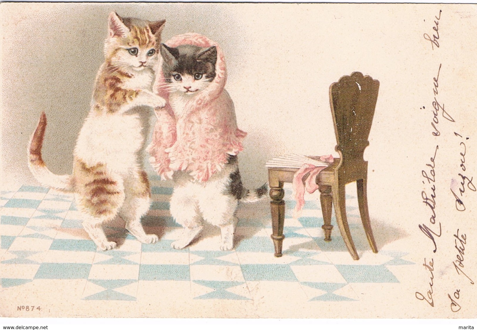 Chats Habillés  -dressed  Cats -katzen-  Poezen - Chats