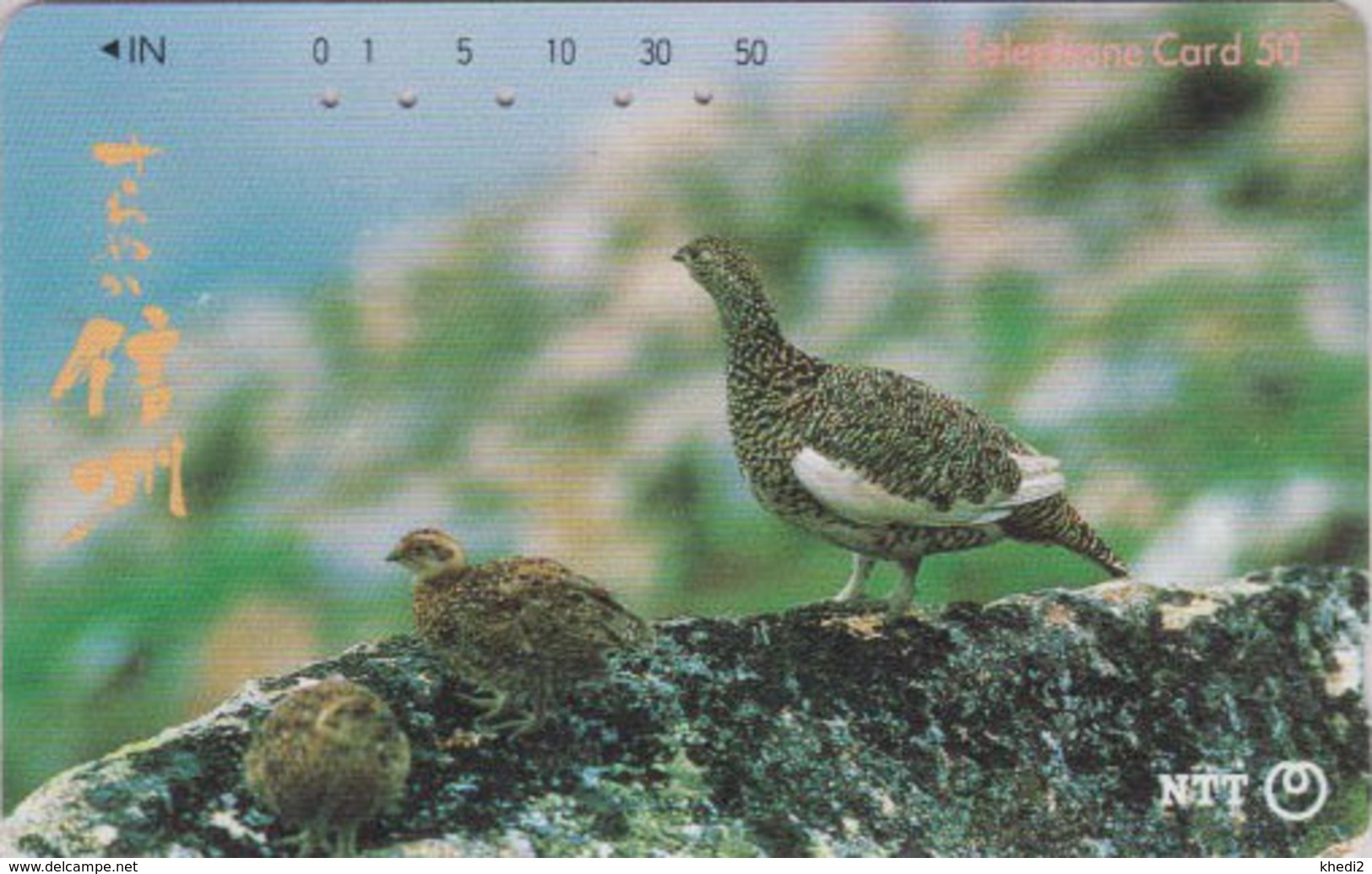 TC Japon / NTT 270-354 A - Animal - OISEAU LAGOPEDE & Poussins - GROUSE BIRD & Chicken Japan Phonecard - Gallináceos & Faisanes