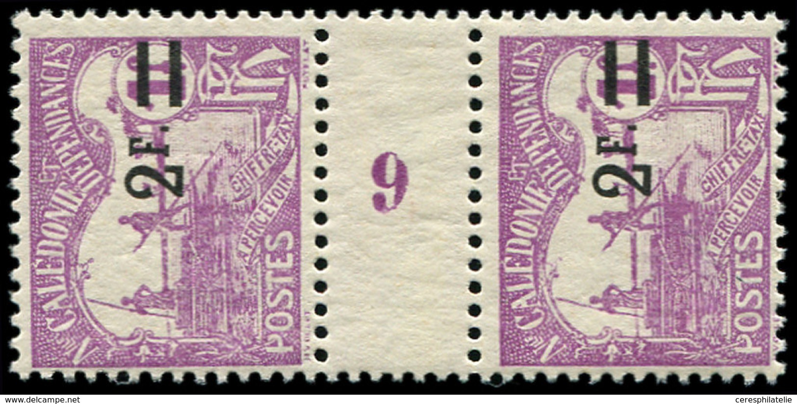 ** NOUVELLE CALEDONIE Taxe 24 : 2f. Sur 1f. Violet, PAIRE Mill.9, TB, Cote Maury - Postage Due