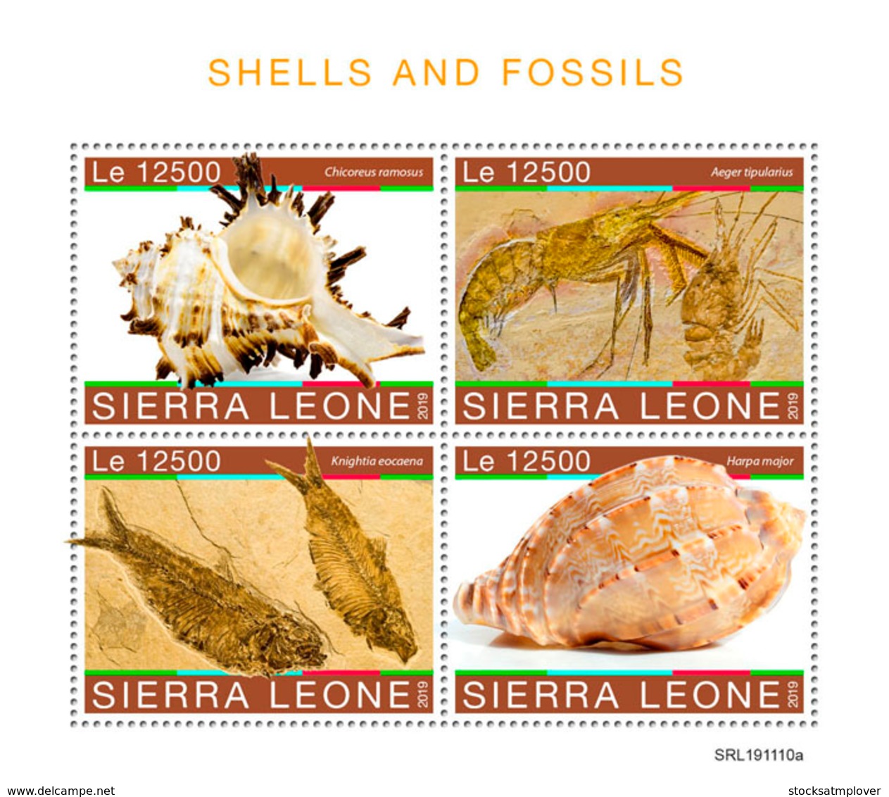 Sierra Leone 2019    Shells And Fossils S201912 - Sierra Leone (1961-...)