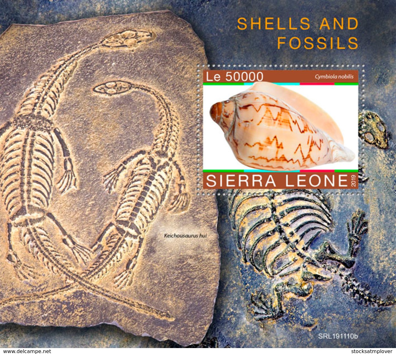 Sierra Leone 2019    Shells And Fossils S201912 - Sierra Leone (1961-...)