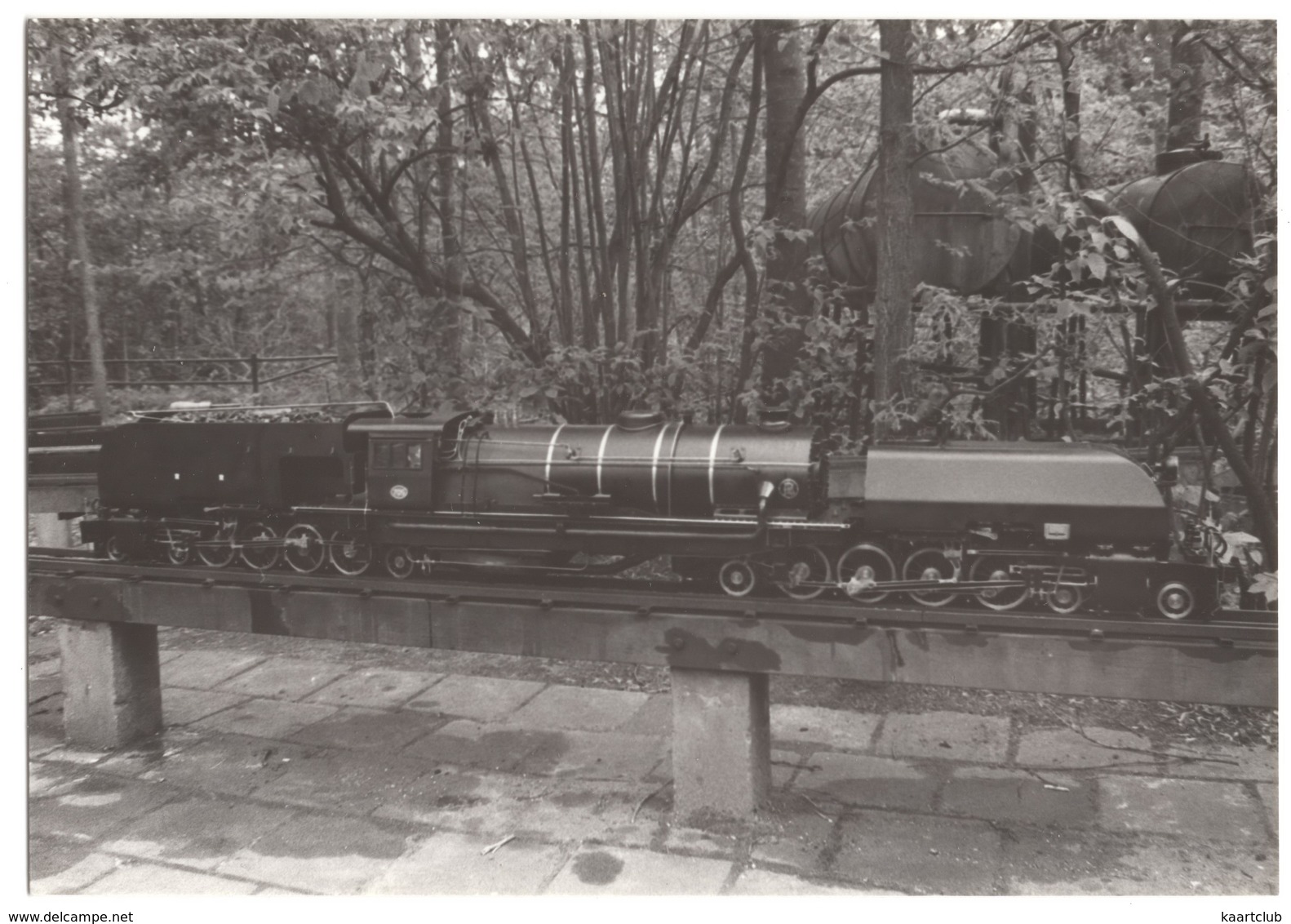 Model Building: Steamlocomotive, Tender, Garden - Treinen
