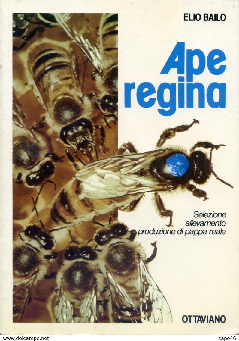 L 27 - APE REGINA - SELEZIONE ALLEVAMENTO PRODUZIONE DI PAPPA REALE - Natura