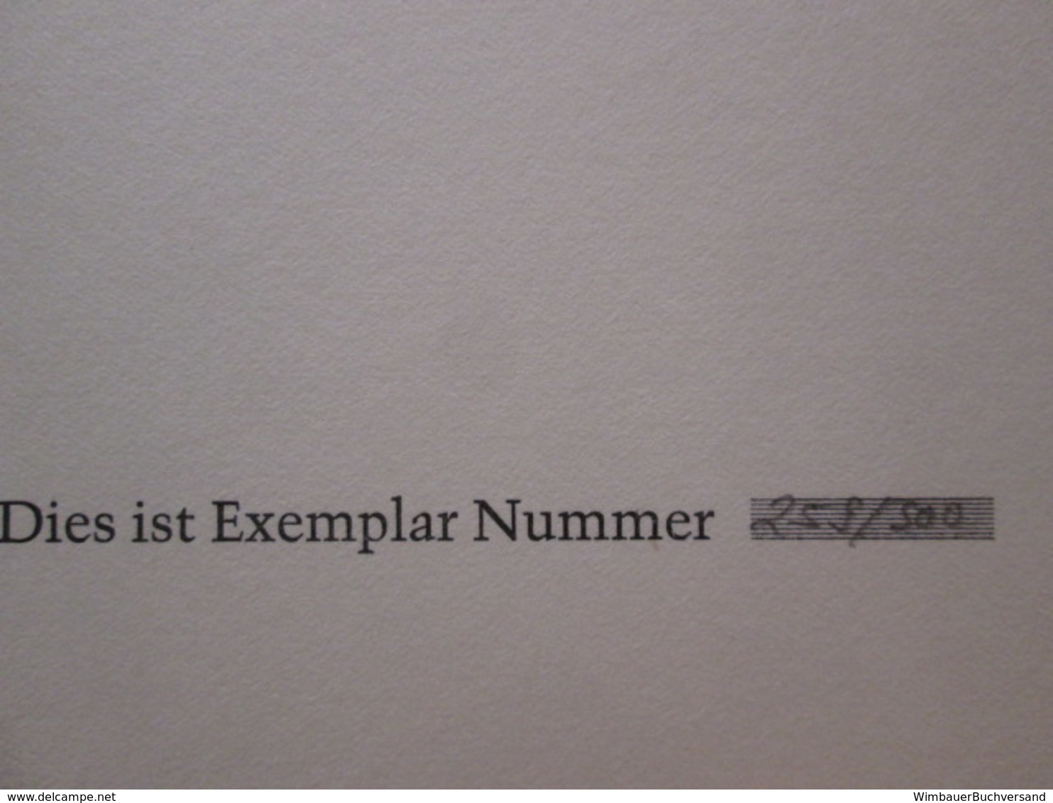 Werner Höll : 1898 - 1984 ; Zum 90. Geburtstag ; Kreissparkasse Reutlingen 1988 - Auteurs All.